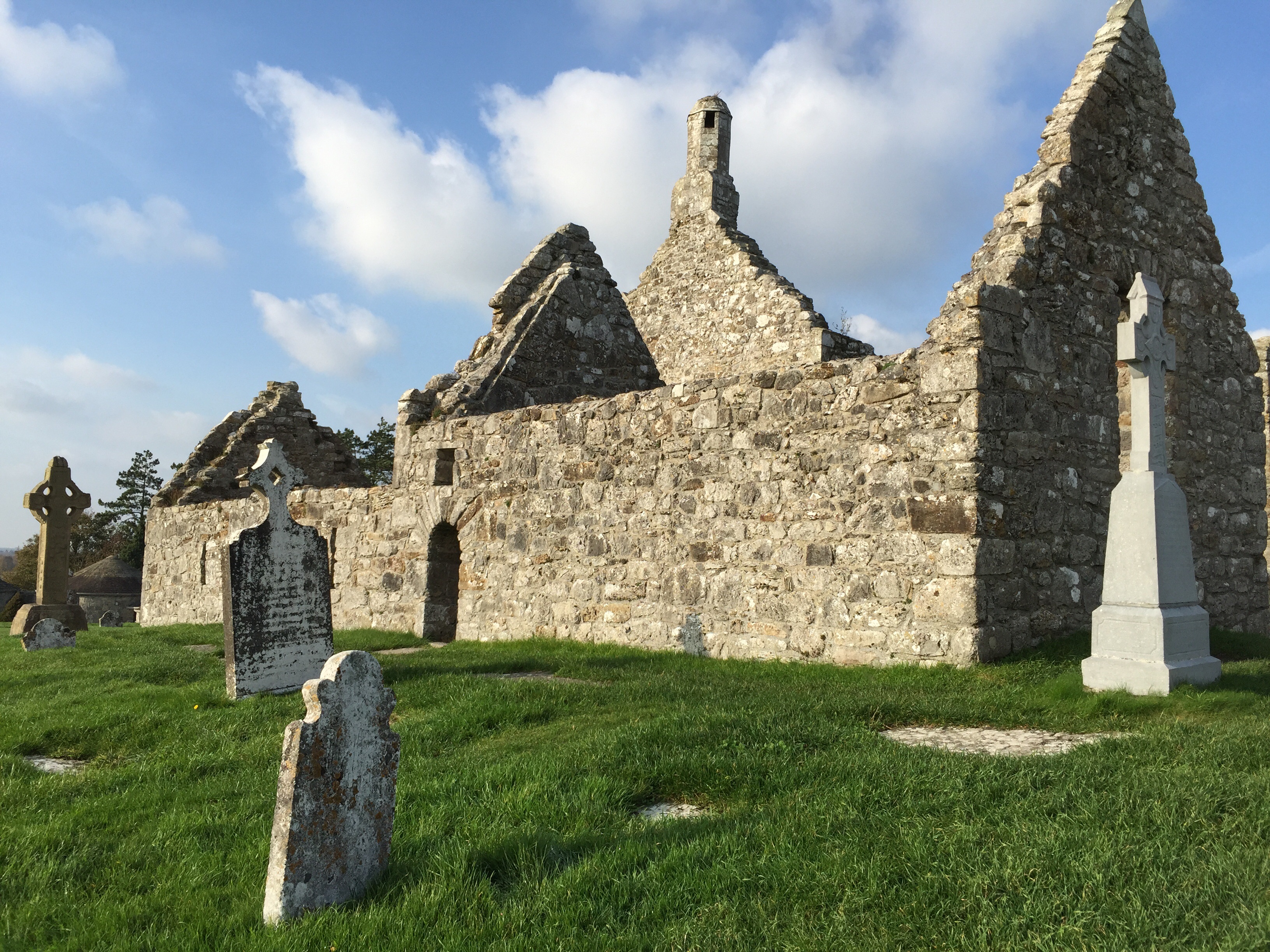 Clonmacnoise and Birr Castle, County Offaly, Ireland - TRAVELS WITH ...